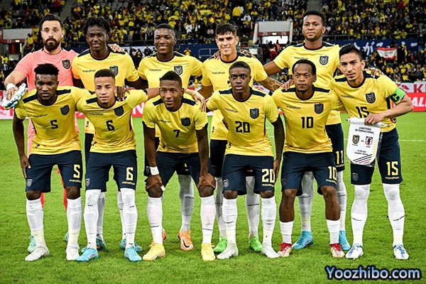 2022卡塔尔世界杯厄瓜多尔队球衣及号码一览